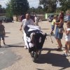 ganaderos (4)